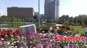 Шукӯҳи ҷаннатосои гулбоғҳои Душанбе