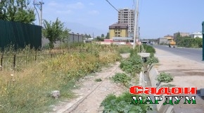 Атрофи роҳҳоро низ ҳиндуҳо омада сабзазор кунанд?