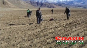 Булункӯл мавзеи зархез хоҳад шуд