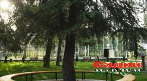 Дарахтон ҳусни диёрро меафзоянд