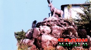 «Гузари бузҳо». Чаро он ба бачаҳо нафорид?