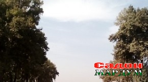 Кинотеатри тобистонаи «Ташкент» эҳё мегардад?