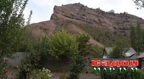 Сангвор. 250 намуд растании шифобахшро самаранок истифода мебаранд