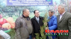 Ярмарка-фурӯши ниҳол ва гулу гулбуттаҳо дар Суғд