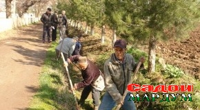 Дасти бисёрӣ гул аст