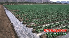 Дарвоз. Заминҳои бекорхобида обёрӣ мегарданд