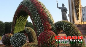 МҲТБО дар шаҳри Душанбе