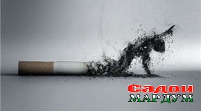 Қонуне, ки баҳри тарғибаш ТУТ низ ҳавасманд аст