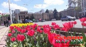 Ба қадри гулҳои шукуфон бояд расем!