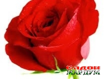 Биё, то гул барафшонем…