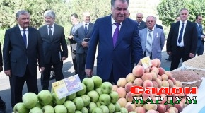 Сафари кории Сарвари давлат ба шаҳри Ваҳдат