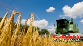 Август — моҳи намояндагони касбу ҳунарҳои гуногун