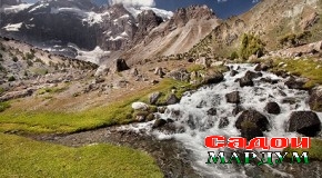 Хизматрасонии босифат дар рушди сайёҳӣ нақши муҳим дорад