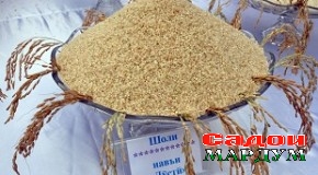 Фестивал — намоиш таҳрикбахши фаъолият хоҳад буд