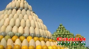 Рӯзи меҳру моҳи меҳру ҷашни фаррух Меҳргон