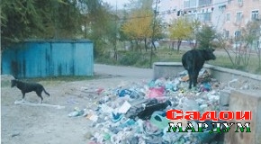 Майдончаи варзишӣ чаро ба партовгоҳ табдил ёфт?