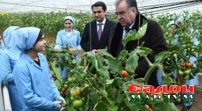 Сафари кории Пешвои миллат ба шаҳри Турсунзода