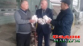 Дастовард ва мушкилоти коркарди пахта дар Суғд