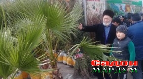 Ярмаркаи ниҳол ва гулу гулбуттаҳо дар Суғд