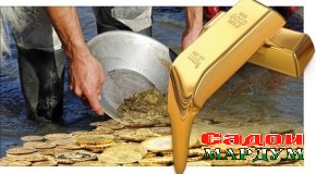 Дар кадом асос барои машғул шудан ба заршӯйӣ иҷозат дода шуд?