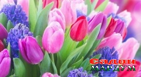 Дар шинохти зан — модар