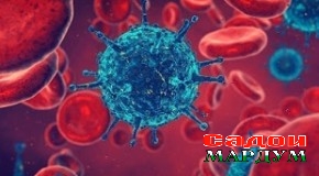 Аз таърихи бемориҳои сироятӣ ва таъсири онҳо ба иқтисодиёт