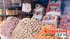 Болоравии нархи маҳсулоти ниёзи аввал аз ҳисоби қурби доллар ё?..