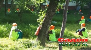 Маҳсули меҳнате, ки зинатбахш аст, вале…