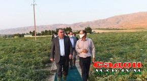 Сафари кории Пешвои миллат ба ноҳияи Данғара