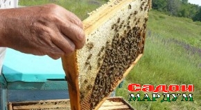 Ширинии асал ва файзу  баракат ба ҳам тавъаманд