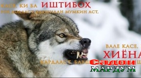 Ватанхоҳӣ ба гуфтор аст ё кирдор…?
