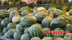 Содироти тарбузи Мастчоҳ ба Афғонистон