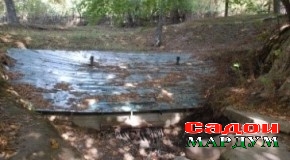 Марги тадриҷии чанорҳои боғи Сӯфӣ