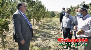 Сафари кории Пешвои миллат ба ноҳияи Хуросон