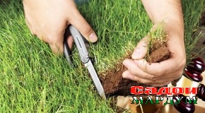 Заминҷаллобон дар назди қонун ҷавоб мегӯянд