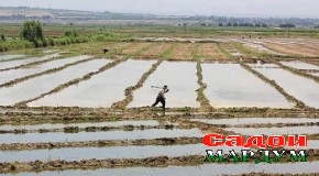 Қонуншиканиҳои марбут ба замин. Чаро тавозуни масъулият вуҷуд надорад?