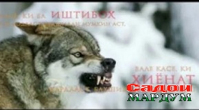 «Ҳақ омад, ботил нобуд шуд»