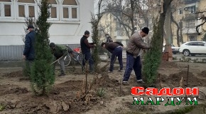 Пойтахт. Завқи зебоипарастии сокинон баланд мешавад