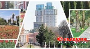 Барои «Шаҳри сабз» шудани Душанбе чӣ бояд кард?