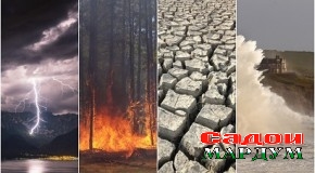 Зимистони сард, вале камбориш