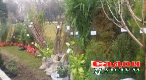 Сада пайғомест аз наздикшавии баҳор