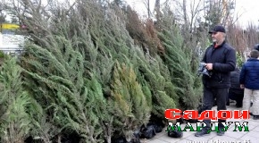 Ҷашни мулуки номдор