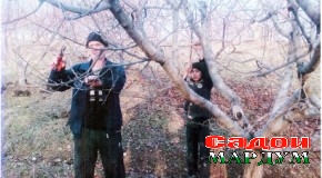 …Бикун коре, ки кор аз кор хезад