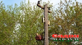 Симчӯбҳои фарсударо кӣ бояд иваз кунад?