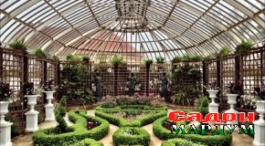 Бунёди гулхонаҳо дар бому ҳавлии  МТМУ зарур аст