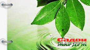 Ташаккули маърифати экологӣ аз кай оғоз мешавад?