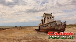 Проблема ва мулоҳиза  Пайдошавии «Баҳри сабз»  дар регзори Аралқум