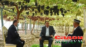 Сафари кории Пешвои миллат ба шаҳри Турсунзода