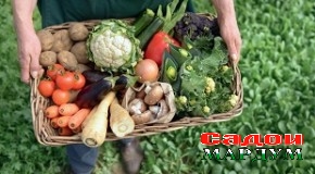 Амнияти озуқаворӣ таъмин мегардад, агар…