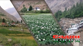 Ба рӯди пурганҷ носипосӣ накунем!